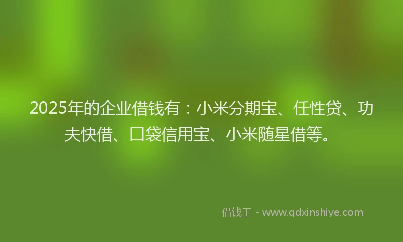 2025年的企业借钱有：小米分期宝、任性贷、功夫快借、口袋信用宝、小米随星借等。
