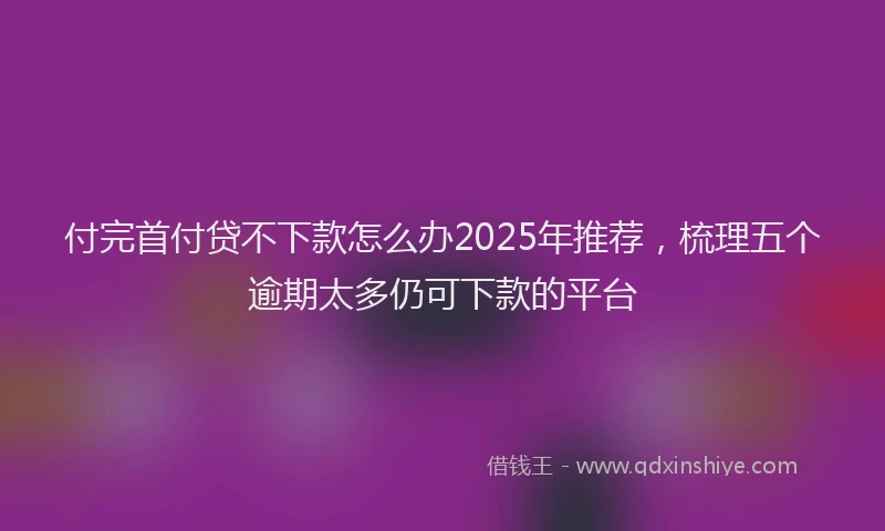 付完首付贷不下款怎么办2025年推荐，梳理五个逾期太多仍可下款的平台