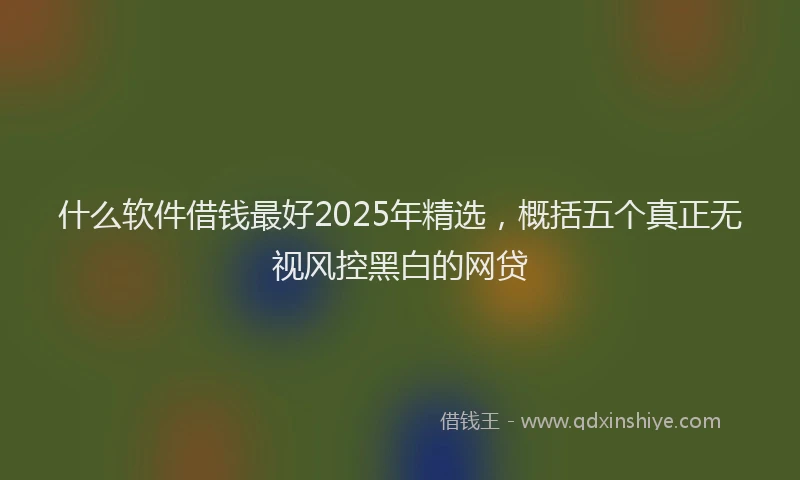 什么软件借钱最好2025年精选，概括五个真正无视风控黑白的网贷