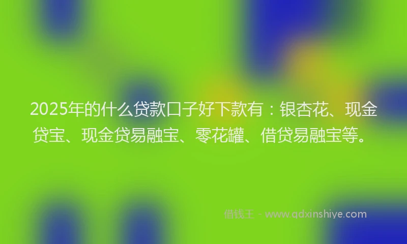 2025年的什么贷款口子好下款有：银杏花、现金贷宝、现金贷易融宝、零花罐、借贷易融宝等。