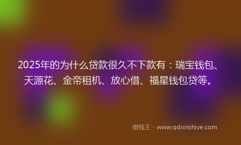 2025年的为什么贷款很久不下款有：瑞宝钱包、天源花、金帝租机、放心借、福星钱包贷等。