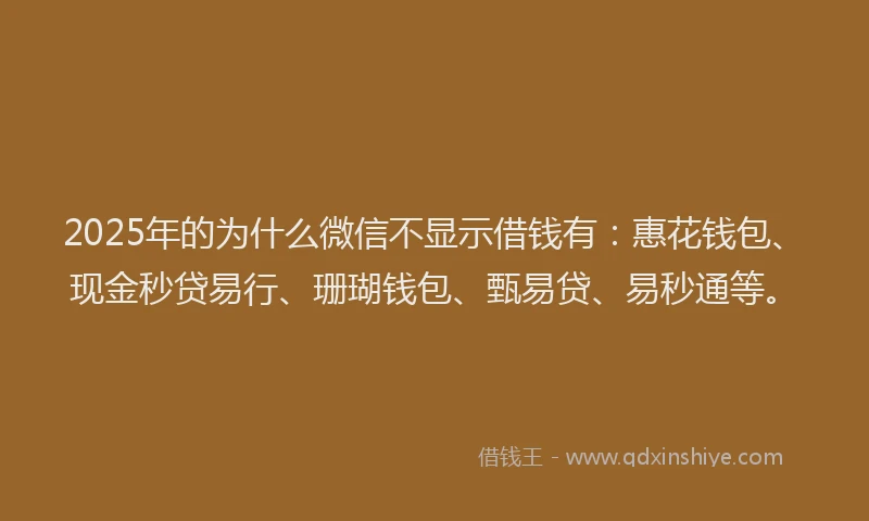 2025年的为什么微信不显示借钱有：惠花钱包、现金秒贷易行、珊瑚钱包、甄易贷、易秒通等。
