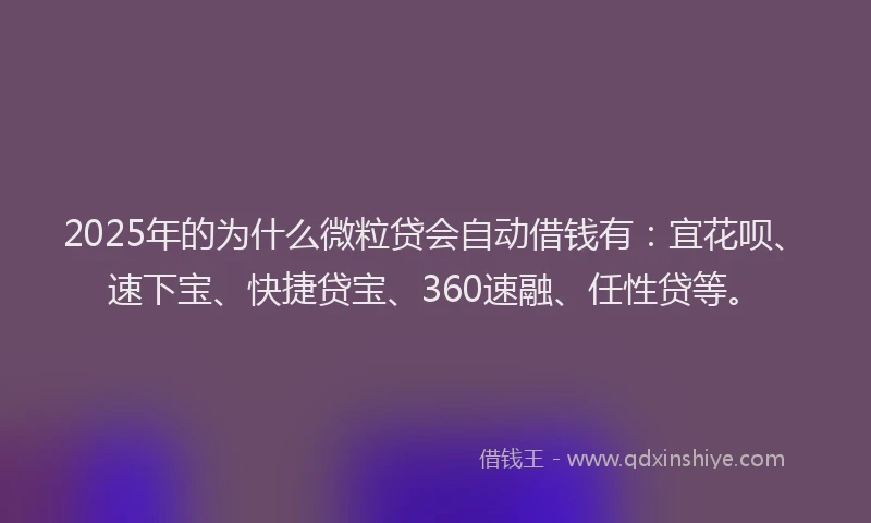 2025年的为什么微粒贷会自动借钱有：宜花呗、速下宝、快捷贷宝、360速融、任性贷等。