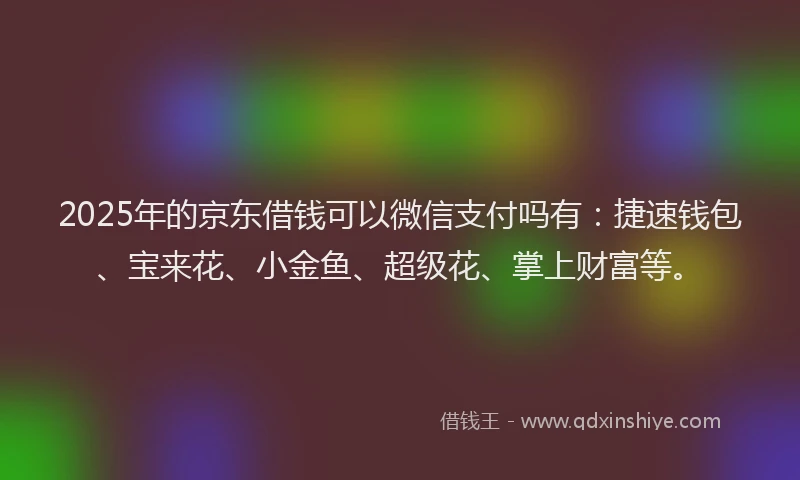 2025年的京东借钱可以微信支付吗有：捷速钱包、宝来花、小金鱼、超级花、掌上财富等。