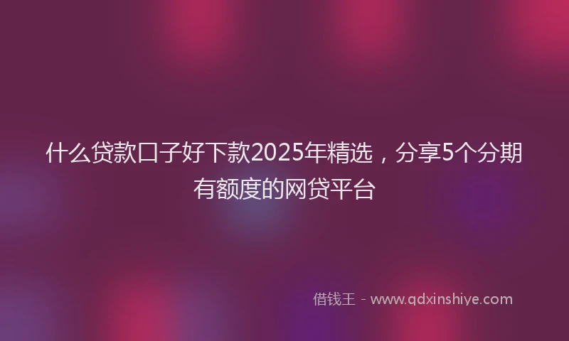 什么贷款口子好下款2025年精选，分享5个分期有额度的网贷平台