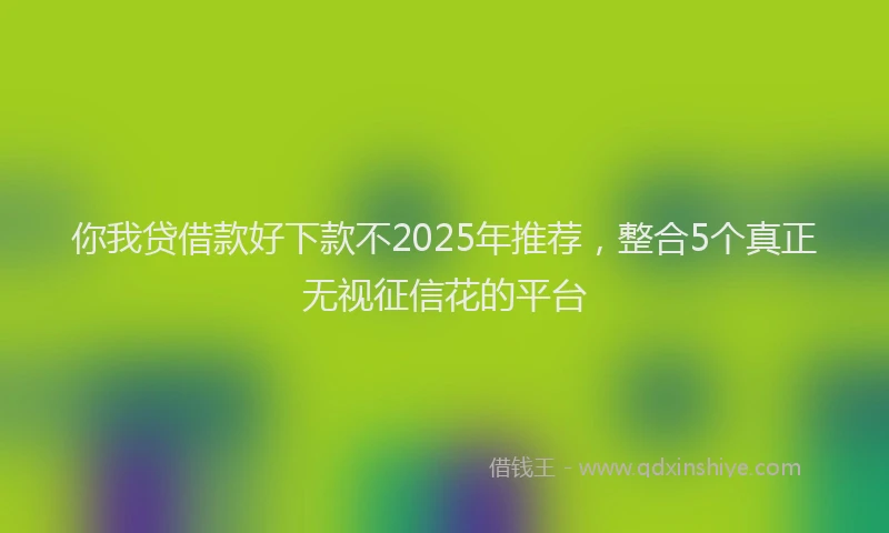 你我贷借款好下款不2025年推荐，整合5个真正无视征信花的平台