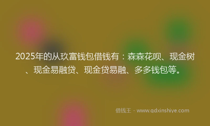 2025年的从玖富钱包借钱有：森森花呗、现金树、现金易融贷、现金贷易融、多多钱包等。