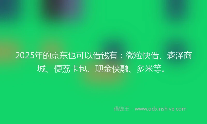2025年的京东也可以借钱有：微粒快借、森泽商城、便荔卡包、现金侠融、多米等。