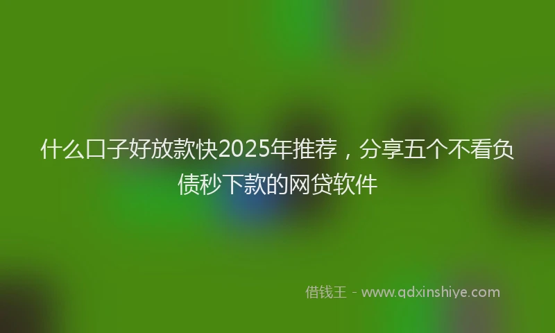 什么口子好放款快2025年推荐,分享五个不看负债秒下款的网贷软件