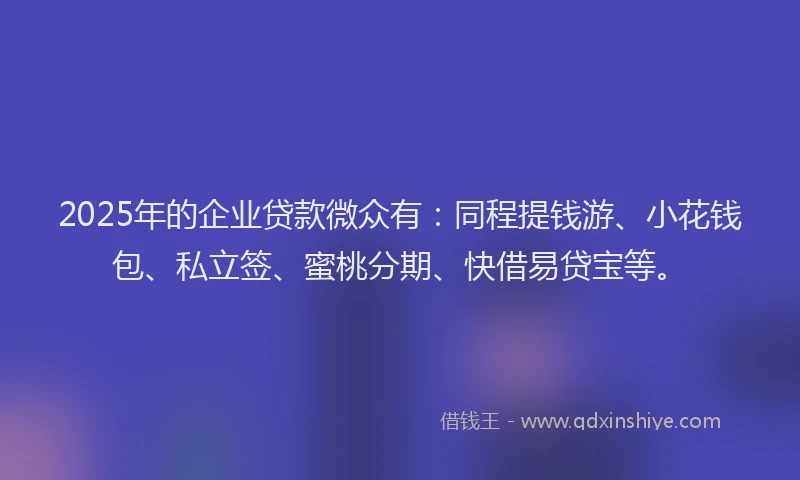 2025年的企业贷款微众有：同程提钱游、小花钱包、私立签、蜜桃分期、快借易贷宝等。