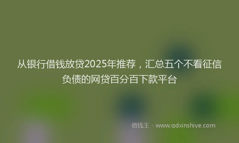 从银行借钱放贷2025年推荐，汇总五个不看征信负债的网贷百分百下款平台