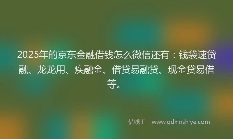 2025年的京东金融借钱怎么微信还有：钱袋速贷融、龙龙用、疾融金、借贷易融贷、现金贷易借等。