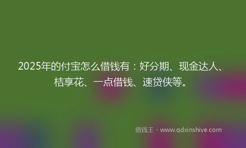 2025年的付宝怎么借钱有：好分期、现金达人、桔享花、一点借钱、速贷侠等。