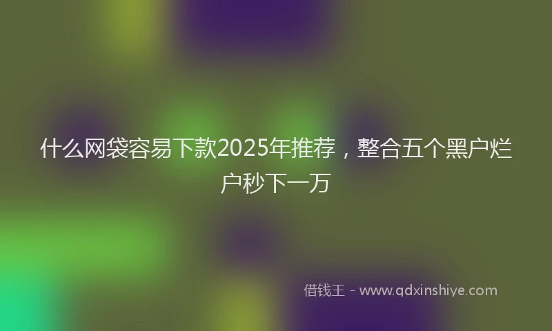 什么网袋容易下款2025年推荐，整合五个黑户烂户秒下一万