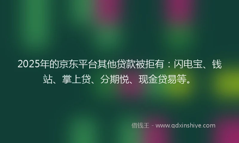 2025年的京东平台其他贷款被拒有：闪电宝、钱站、掌上贷、分期悦、现金贷易等。