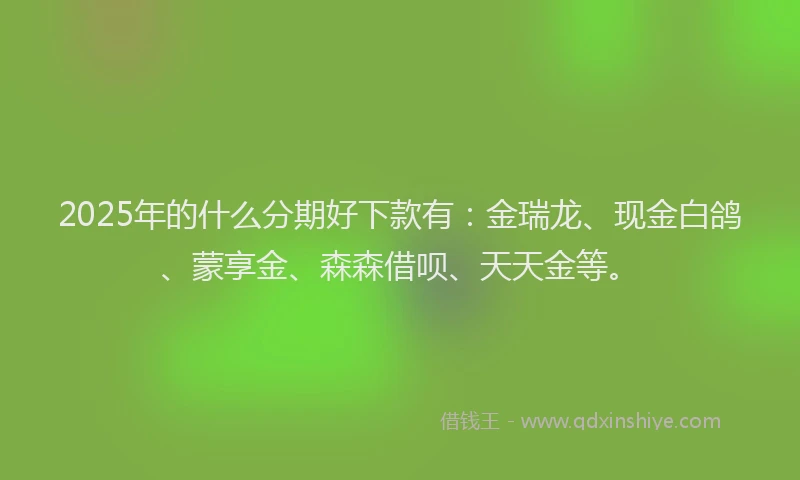 2025年的什么分期好下款有:金瑞龙、现金白鸽、蒙享金、森森借呗、天天金等。