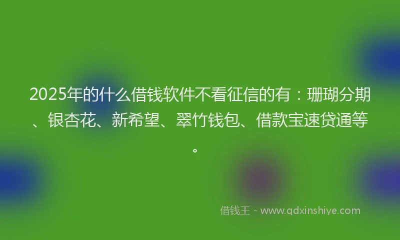2025年的什么借钱软件不看征信的有：珊瑚分期、银杏花、新希望、翠竹钱包、借款宝速贷通等。