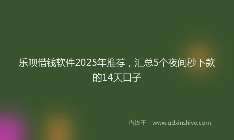 乐呗借钱软件2025年推荐，汇总5个夜间秒下款的14天口子