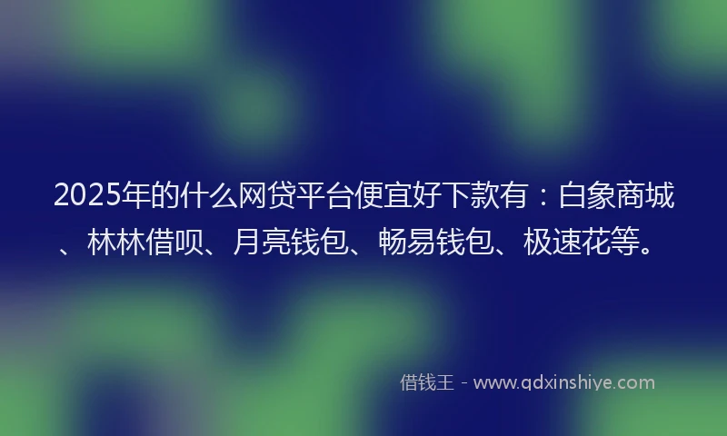 2025年的什么网贷平台便宜好下款有：白象商城、林林借呗、月亮钱包、畅易钱包、极速花等。