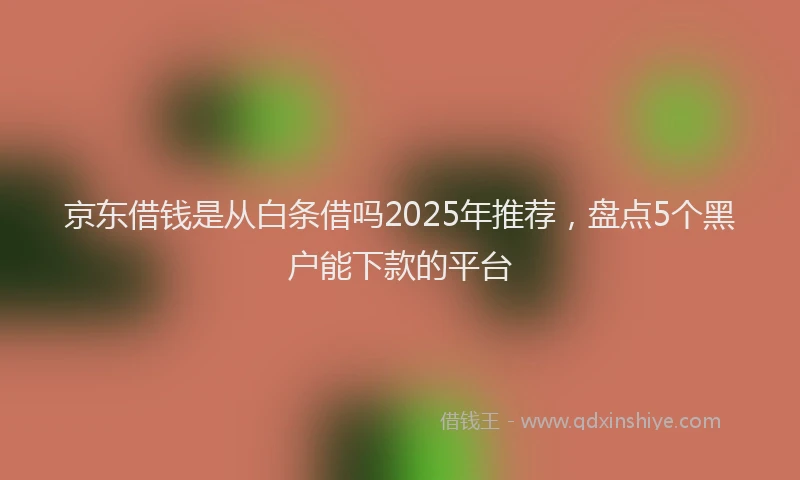 京东借钱是从白条借吗2025年推荐，盘点5个黑户能下款的平台