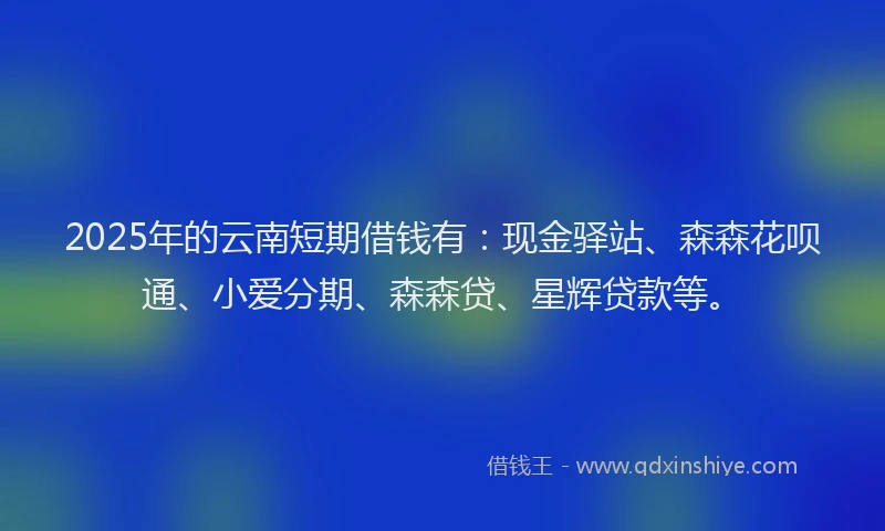 2025年的云南短期借钱有：现金驿站、森森花呗通、小爱分期、森森贷、星辉贷款等。