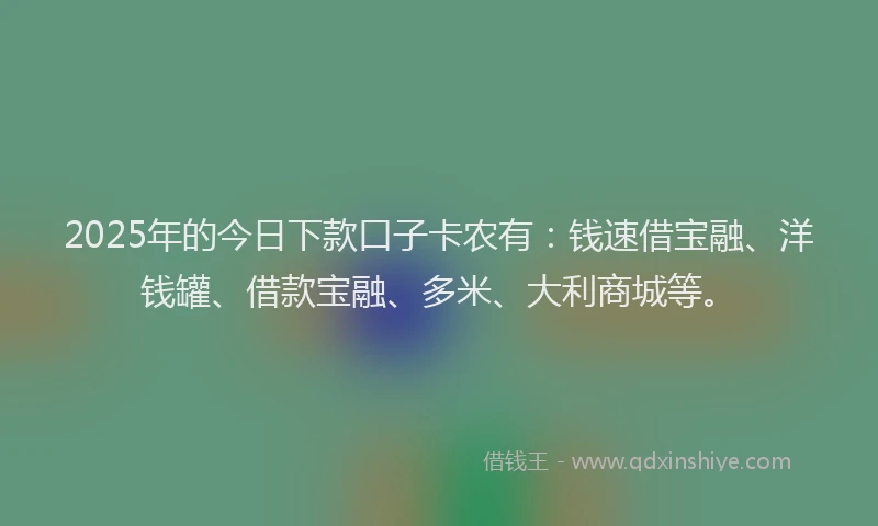 2025年的今日下款口子卡农有：钱速借宝融、洋钱罐、借款宝融、多米、大利商城等。