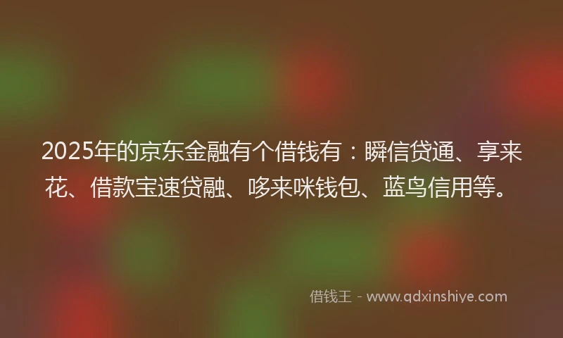 2025年的京东金融有个借钱有：瞬信贷通、享来花、借款宝速贷融、哆来咪钱包、蓝鸟信用等。