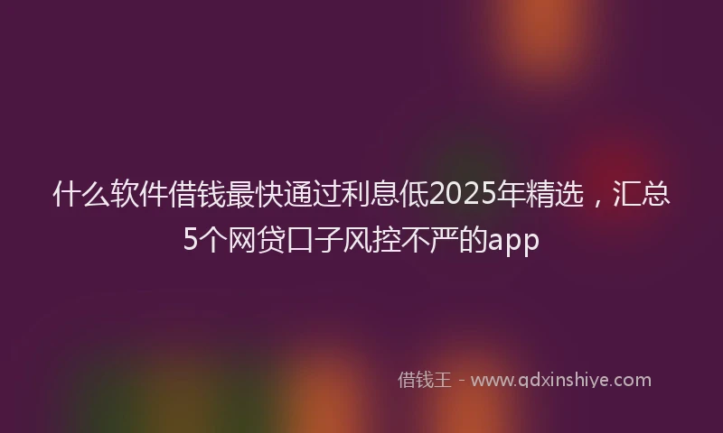 什么软件借钱最快通过利息低2025年精选，汇总5个网贷口子风控不严的app