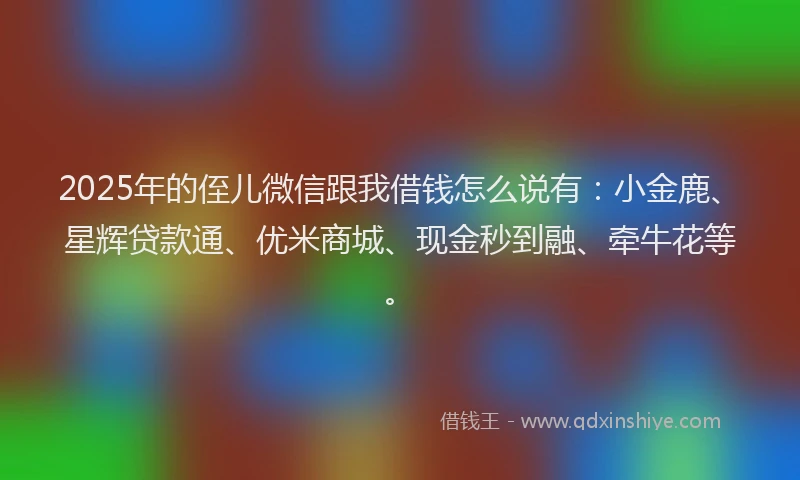 2025年的侄儿微信跟我借钱怎么说有：小金鹿、星辉贷款通、优米商城、现金秒到融、牵牛花等。