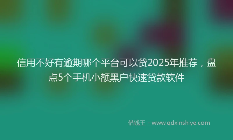 信用不好有逾期哪个平台可以贷2025年推荐，盘点5个手机小额黑户快速贷款软件