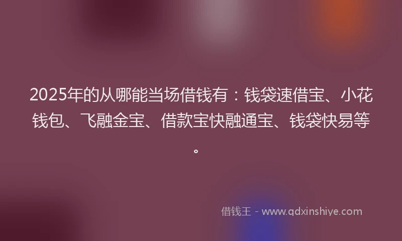 2025年的从哪能当场借钱有：钱袋速借宝、小花钱包、飞融金宝、借款宝快融通宝、钱袋快易等。