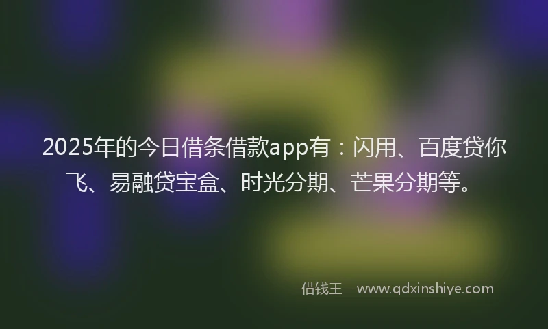 2025年的今日借条借款app有：闪用、百度贷你飞、易融贷宝盒、时光分期、芒果分期等。