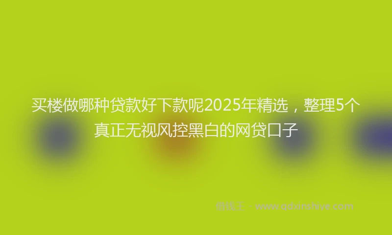 买楼做哪种贷款好下款呢2025年精选，整理5个真正无视风控黑白的网贷口子