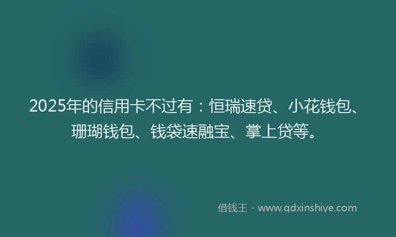2025年的信用卡不过有：恒瑞速贷、小花钱包、珊瑚钱包、钱袋速融宝、掌上贷等。