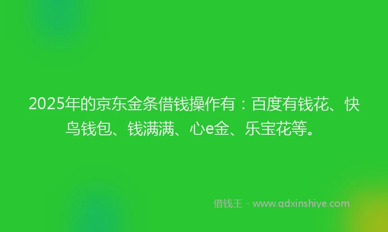 2025年的京东金条借钱操作有：百度有钱花、快鸟钱包、钱满满、心e金、乐宝花等。