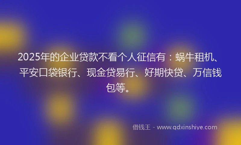 2025年的企业贷款不看个人征信有:蜗牛租机、平安口袋银行、现金贷易行、好期快贷、万信钱包等。