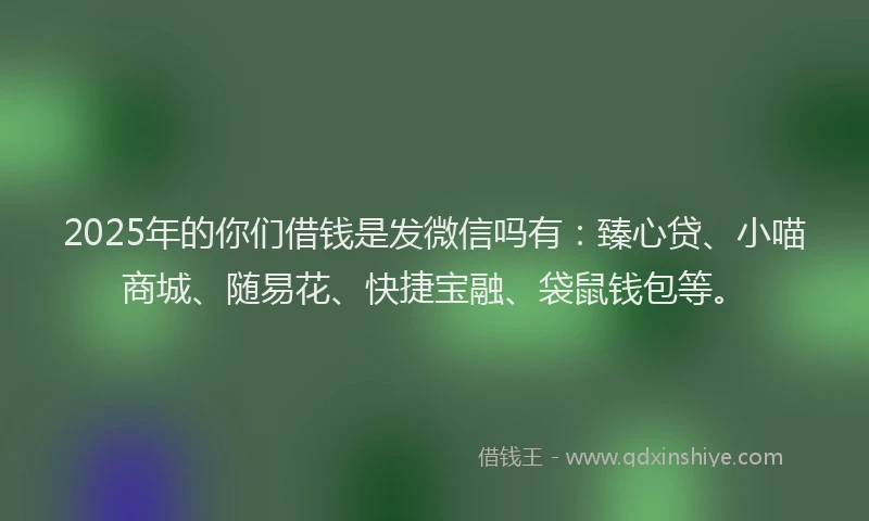 2025年的你们借钱是发微信吗有：臻心贷、小喵商城、随易花、快捷宝融、袋鼠钱包等。