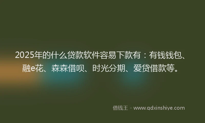 2025年的什么贷款软件容易下款有：有钱钱包、融e花、森森借呗、时光分期、爱贷借款等。