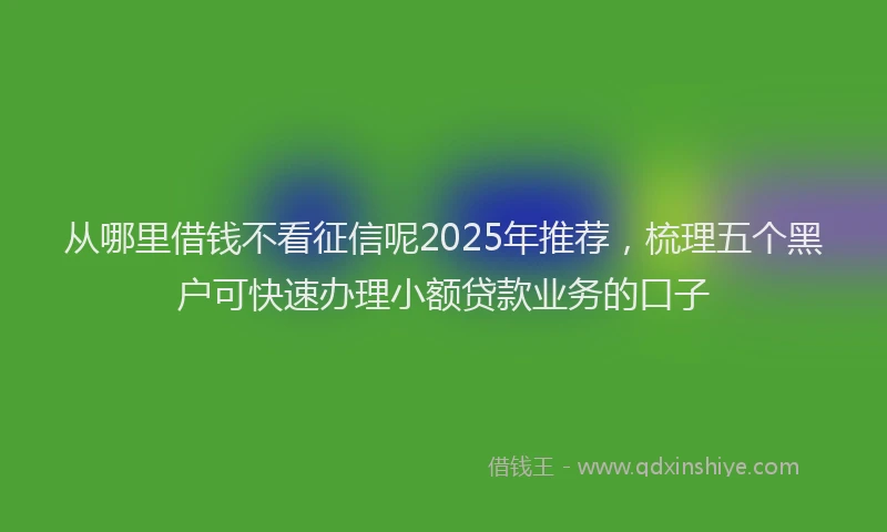 从哪里借钱不看征信呢2025年推荐，梳理五个黑户可快速办理小额贷款业务的口子