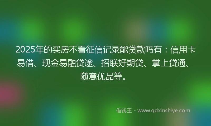 2025年的买房不看征信记录能贷款吗有：信用卡易借、现金易融贷途、招联好期贷、掌上贷通、随意优品等。