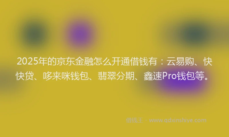 2025年的京东金融怎么开通借钱有：云易购、快快贷、哆来咪钱包、翡翠分期、鑫速Pro钱包等。