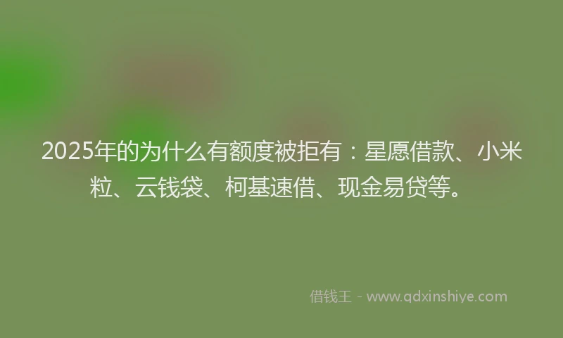 2025年的为什么有额度被拒有：星愿借款、小米粒、云钱袋、柯基速借、现金易贷等。