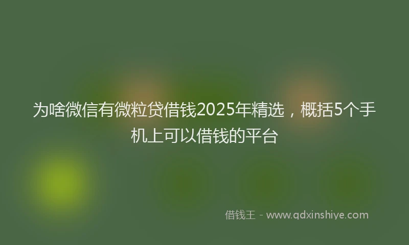 为啥微信有微粒贷借钱2025年精选，概括5个手机上可以借钱的平台