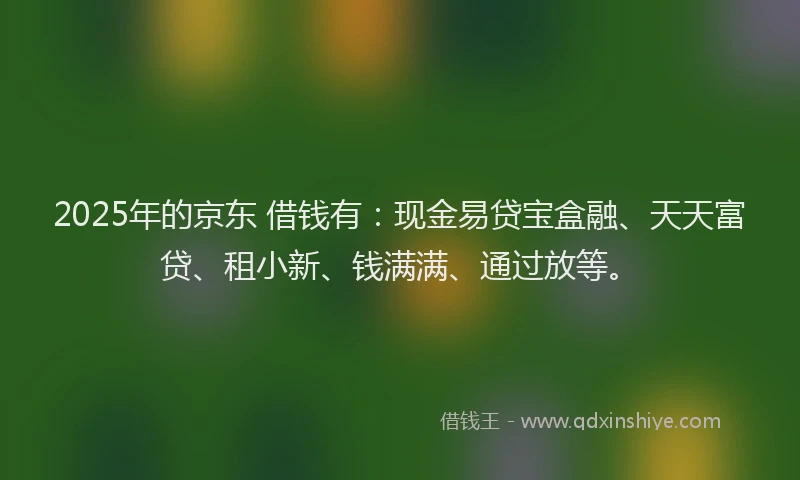 2025年的京东 借钱有：现金易贷宝盒融、天天富贷、租小新、钱满满、通过放等。