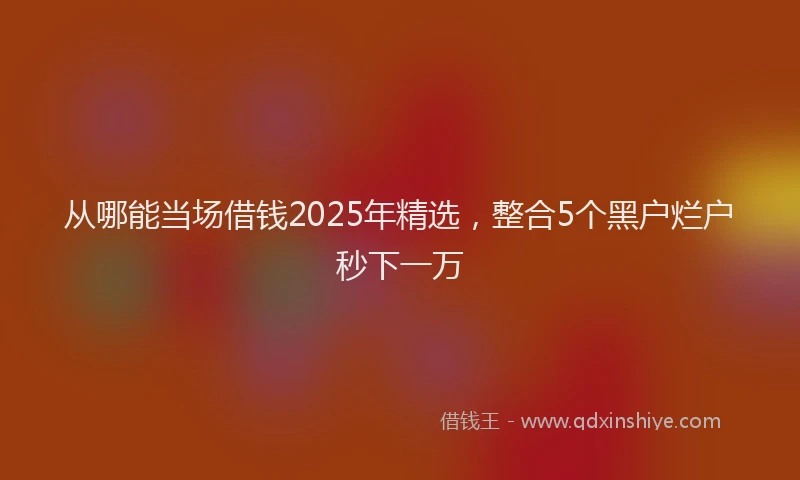 从哪能当场借钱2025年精选，整合5个黑户烂户秒下一万