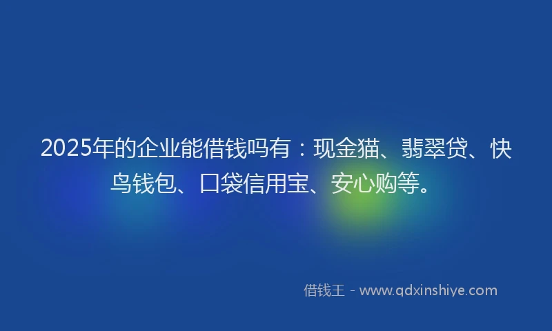 2025年的企业能借钱吗有：现金猫、翡翠贷、快鸟钱包、口袋信用宝、安心购等。