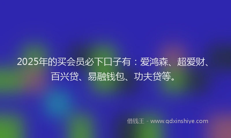 2025年的买会员必下口子有：爱鸿森、超爱财、百兴贷、易融钱包、功夫贷等。