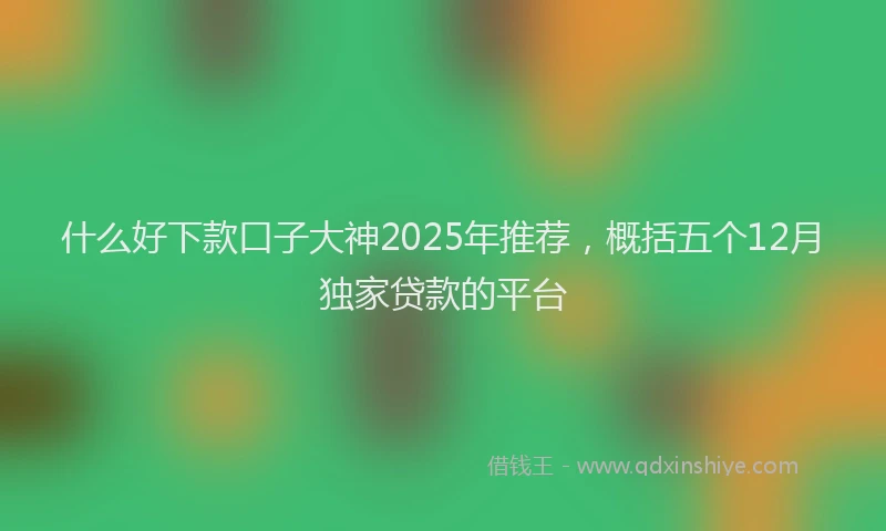 什么好下款口子大神2025年推荐,概括五个12月独家贷款的平台