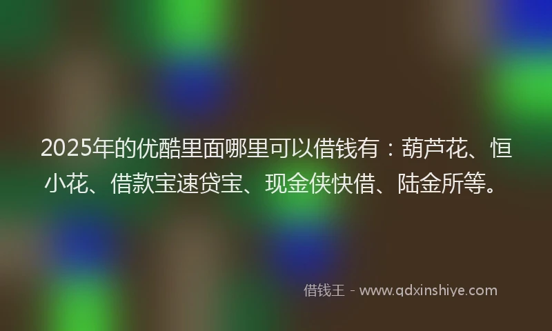2025年的优酷里面哪里可以借钱有：葫芦花、恒小花、借款宝速贷宝、现金侠快借、陆金所等。