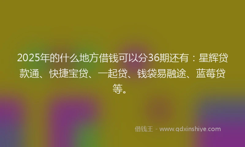 2025年的什么地方借钱可以分36期还有：星辉贷款通、快捷宝贷、一起贷、钱袋易融途、蓝莓贷等。